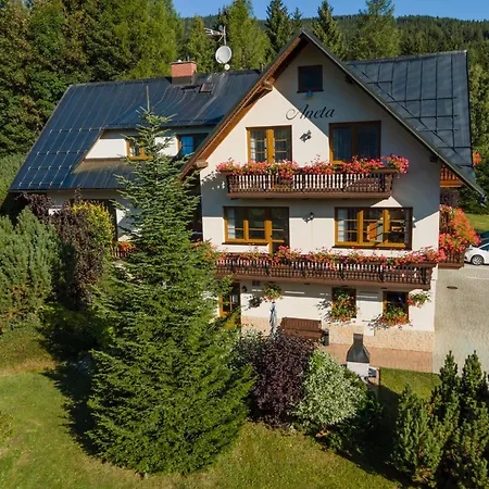 Apartment Aneta