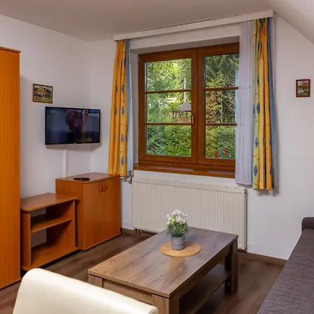 Aneta Apartment *