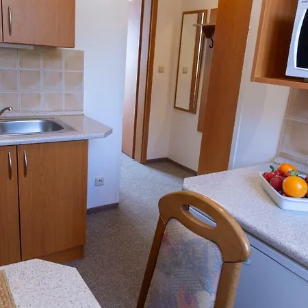 Aneta Apartment *