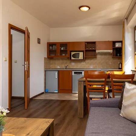 Aneta Špindlerŭv Mlýn