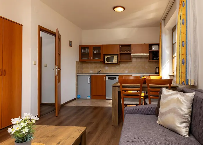 Aneta Spindleruv Mlyn