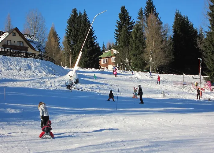 Aneta Spindleruv Mlyn